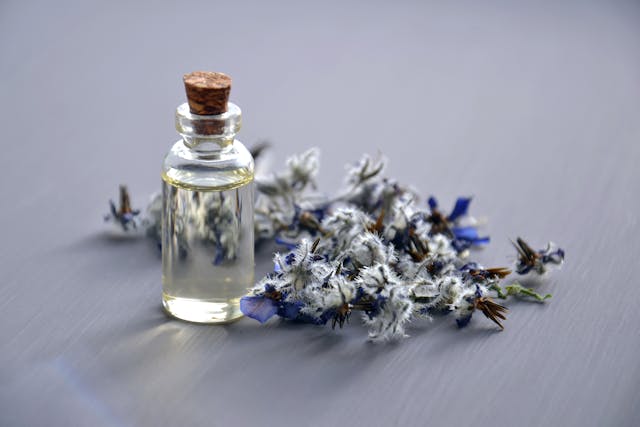 Ilustrasi davidoff eau de parfum